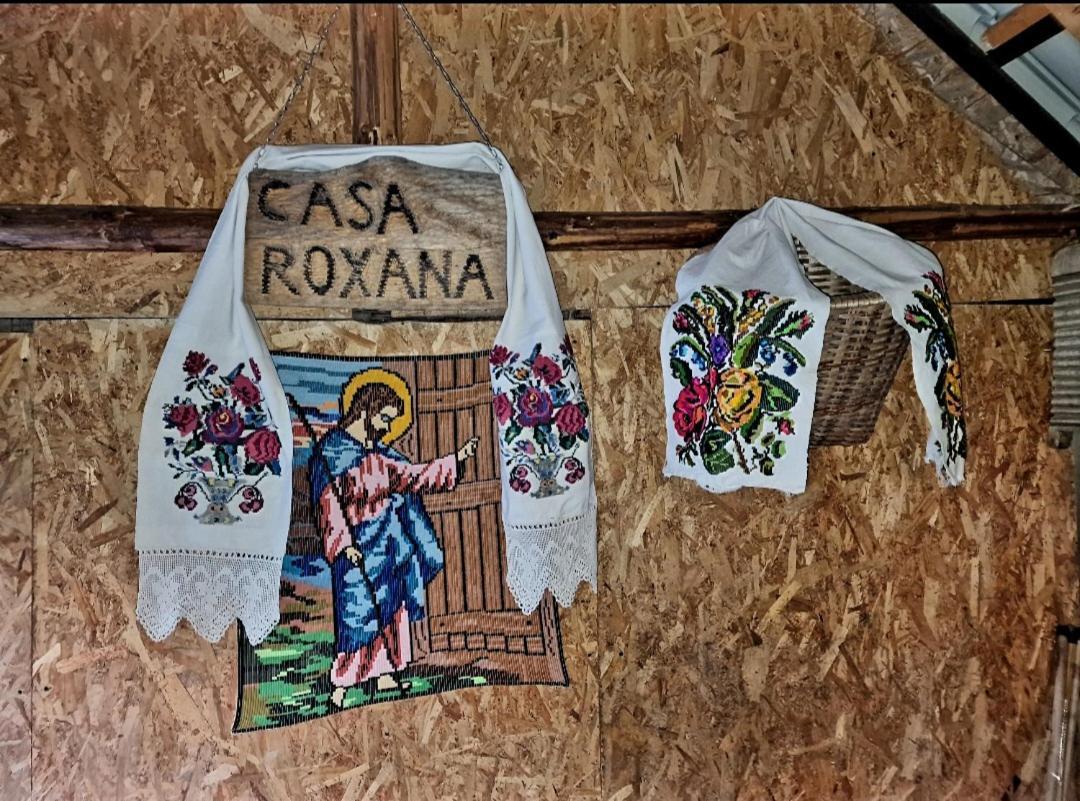 Casa Roxana Villa Viseu de Mijloc Luaran gambar